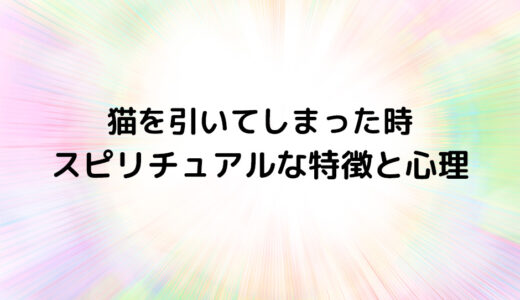 『猫を引いてしまった時』のスピリチュアルな特徴と心理