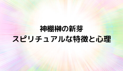 『神棚榊の新芽』のスピリチュアルな特徴と心理