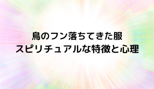 『鳥のフン落ちてきた服』のスピリチュアルな特徴と心理