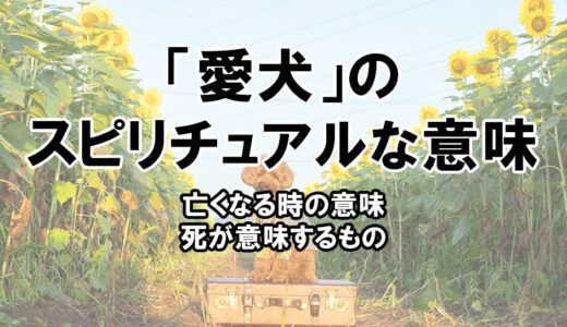 愛犬の死や亡くなる時のスピリチュアルな意味